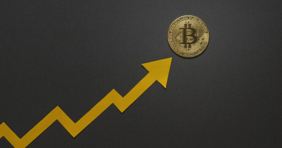 Wird der Bitcoin wieder steigen