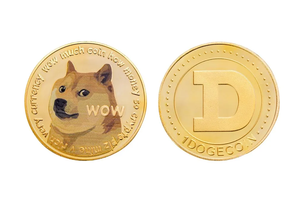 Crypto Slang: 30 Essential Terms You Need to Know Now! 4 Doge meme