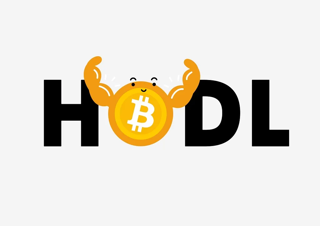 Crypto Slang: 30 Essential Terms You Need to Know Now! 2 hodl crypto slang