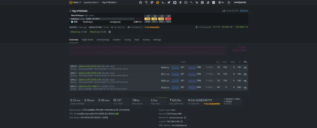 Crypto Mining Rig 101: The Definitive Guide for 2025 6 Crypto Mining Rig with HiveOS