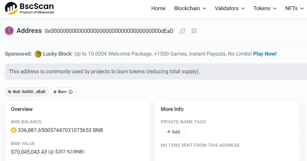 Burning Crypto: The Strategy Behind Vanishing Tokens 4 Burned BNB