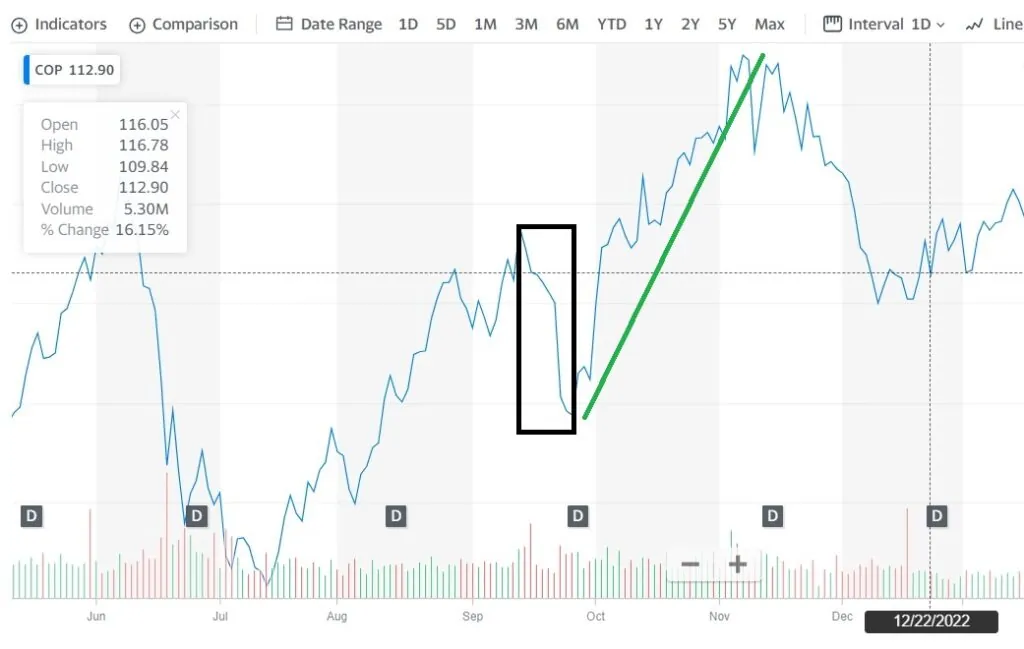 Bear Trap: Recognizing the Signs, Insights and Real-life Cases 4 ConocoPhillips Case