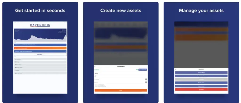 Portefeuilles Ravencoin : 9 meilleurs choix pour 2025 et leurs caractéristiques 4 image 34