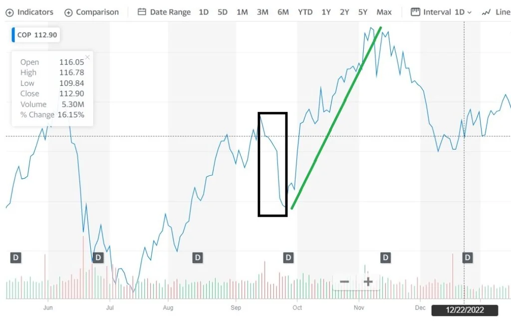 Bear Trap: Reconnaître les signes, les idées et les cas réels 4 image 121